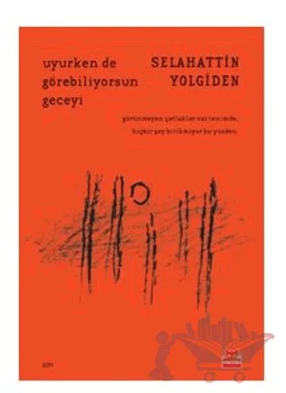 Uyurken de Görebiliyorsun Geceyi – Selahattin Yolgiden – Kırmızı Kedi Yayınevi kitap kapağı