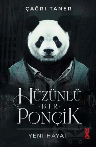 Hüzünlü Bir Ponçik – Çağrı Taner – Dex Yayınevi kitap kapağı