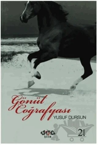 Gönül Coğrafyası – Yusuf Dursun – Nar Yayınları kitap kapağı