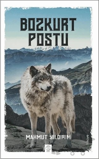 Bozkurt Postu – Mahmut Yıldırım – Post Yayınevi kitap kapağı