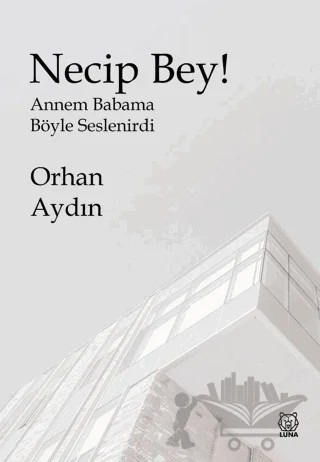 Necip Bey ! – Orhan Aydın – Luna Yayınları kitap kapağı