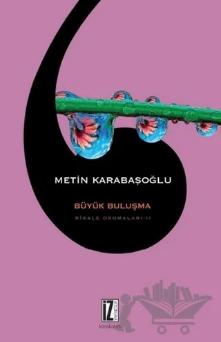 Büyük Buluşma – Metin Karabaşoğlu – İz Yayıncılık kitap kapağı