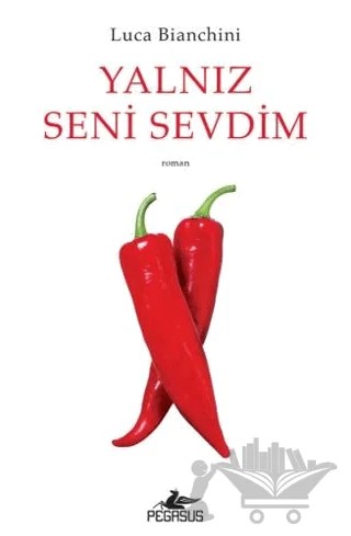 Yalnız Seni Sevdim – Luca Bianchini – Pegasus Yayınları kitap kapağı