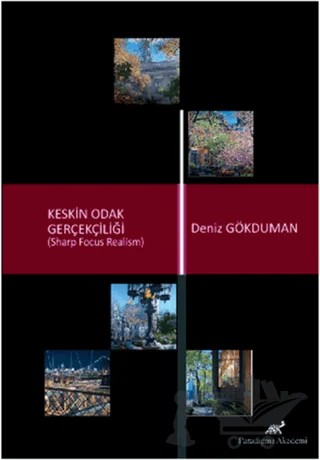 Keskin Odak Gerçekliği (Sharp Focus Realism) – Deniz Gökduman – Paradigma Akademi Yayınları kitap kapağı