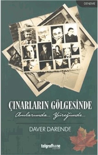 Çınarların Gölgesinde – Daver Darende – Telgrafhane Yayınları kitap kapağı