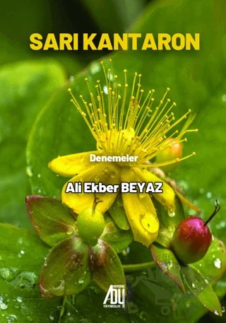 Sarı Kantaron – Ali Ekber Beyaz – Baygenç Yayıncılık kitap kapağı