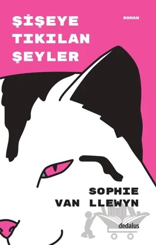 Şişeye Tıkılan Şeyler – Sophie van Llewyn – Dedalus Kitap kitap kapağı