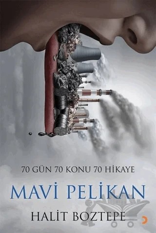 Mavi Pelikan – Halit Boztepe – Cinius Yayınları kitap kapağı