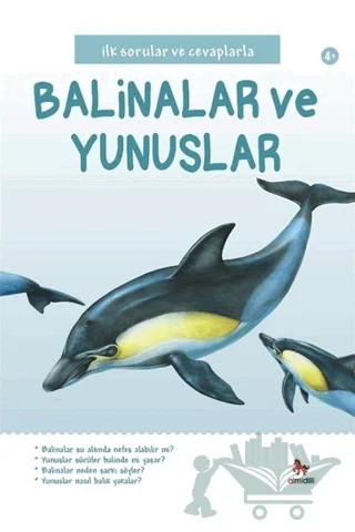 İlk Sorular ve Cevaplarla: Balinalar ve Yunuslar – Belinda Gallagher – Almidilli kitap kapağı