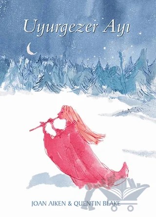 Uyurgezer Ayı – Joan Aiken – Tudem Yayınları kitap kapağı