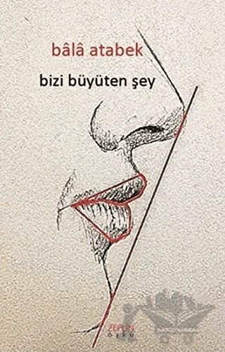 Bizi Büyüten Şey – Bala Atabek – Zeplin Kitap kitap kapağı