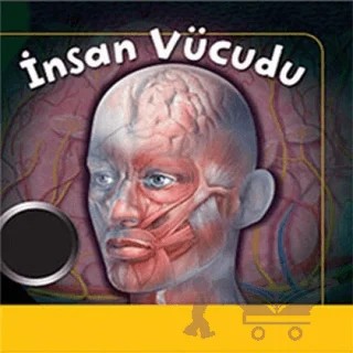 İnsan Vücudu – Kolektif – Doğan Egmont Yayıncılık kitap kapağı