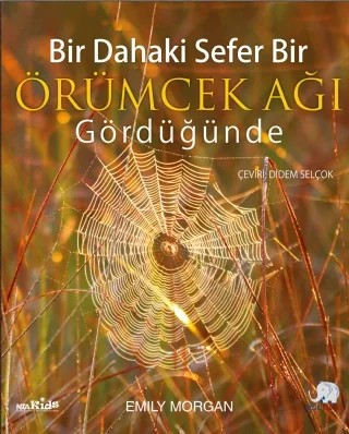 Bir Dahaki Sefer ÖRÜMCEK AĞI GÖRDÜĞÜNDE - Next Time You See a Spiderweb – Emily Morgan – Nobel Çocuk kitap kapağı
