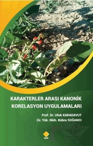 Karakterler Arası Kanonik Korelasyon Uygulamaları – Kübra Soğancı, Ufuk Karadavut – Duvar Kitabevi kitap kapağı