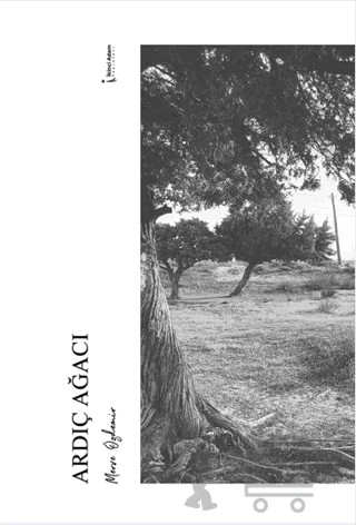 Ardıç Ağacı – Merve Özdemir – İkinci Adam Yayınları kitap kapağı