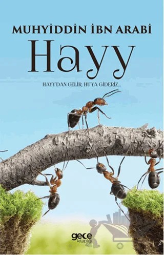 Hayy – Muhyiddin İbn Arabi – Gece Kitaplığı kitap kapağı