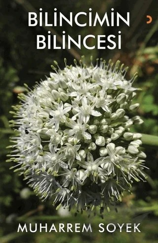 Bilincimin Bilincesi – Muharrem Soyek – Cinius Yayınları kitap kapağı