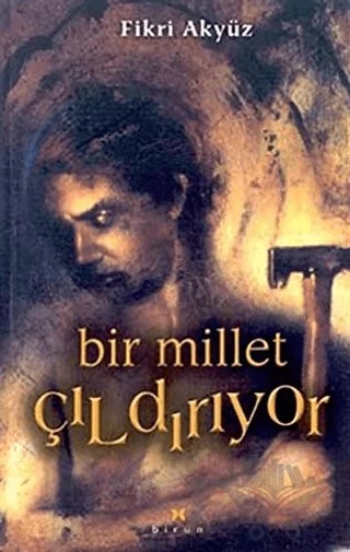 Bir Millet Çıldırıyor – Fikri Akyüz – Birun Kültür Sanat Yayıncılık kitap kapağı