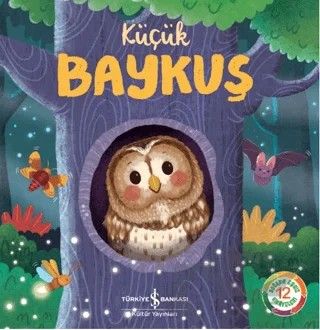 Küçük Baykuş – Wednesday Jones, Katie Taylor – İş Bankası Kültür Yayınları kitap kapağı