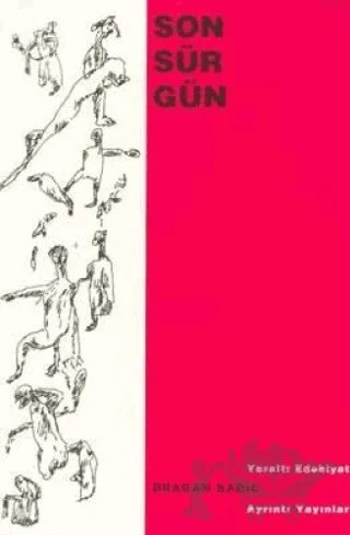Son Sürgün – Dragan Babic – Ayrıntı Yayınları kitap kapağı