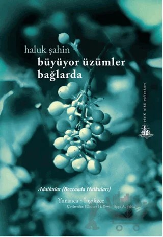 Büyüyor Üzümler Bağlarda – Haluk Şahin – Yitik Ülke Yayınları kitap kapağı