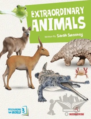 Extraordinary Animals – Sarah Sweeney – Redhouse Kidz Yayınları kitap kapağı