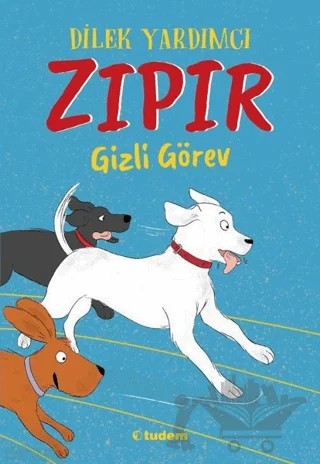 Zıpır Gizli Görev – Dilek Yardımcı – Tudem Yayınları kitap kapağı