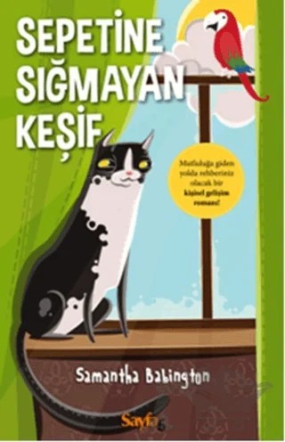 Sepetine Sığmayan Keşif – Samantha Babington – Sayfa6 Yayınları kitap kapağı