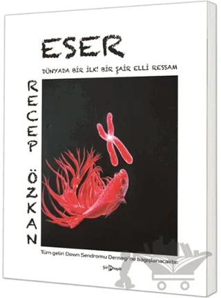 Eser - Dünyada Bir İlk Bir Şair Elli Ressam – Recep Özkan – Hayal Yayınları kitap kapağı