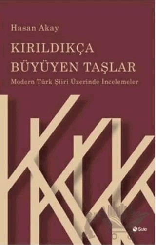 Kırıldıkça Büyüyen Taşlar – Hasan Akay – Şule Yayınları kitap kapağı