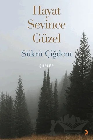Hayat Sevince Güzel – Şükrü Çiğdem – Cinius Yayınları kitap kapağı