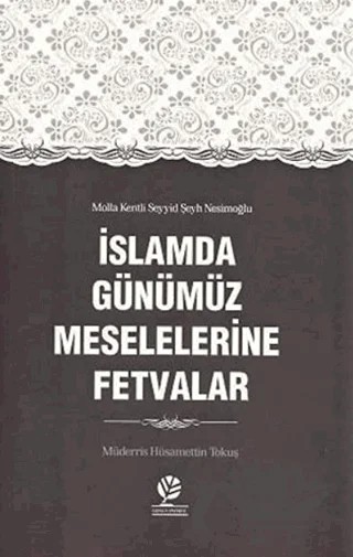 İslamda Günümüz Meselelerine Fetvalar – Hüsamettin Tokuş – Gonca Yayınevi kitap kapağı
