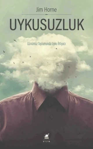 Uykusuzluk – Jim Horne – Ayrıntı Yayınları kitap kapağı