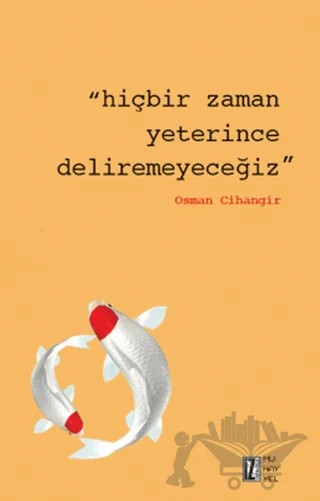 Hiçbir Zaman Yeterince Deliremeyeceğiz – Osman Cihangir – İz Yayıncılık kitap kapağı
