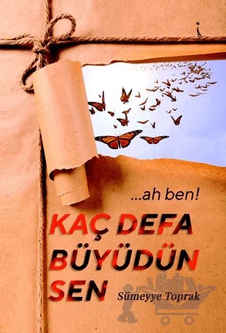 …Ah Ben! Kaç Defa Büyüdün Sen – Sümeyye Toprak – İkinci Adam Yayınları kitap kapağı