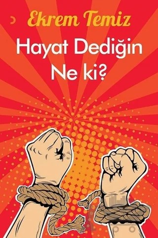 Hayat Dediğin Ne Ki? – Ekrem Temiz – Cinius Yayınları kitap kapağı