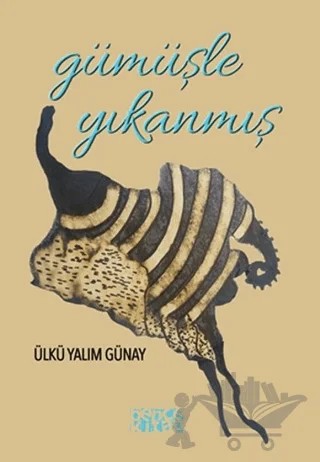 Gümüşle Yıkanmış – Ülkü Yalım Günay – Bencekitap kitap kapağı