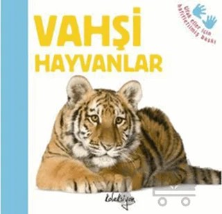 Vahşi Hayvanlar – Katie Hewat – Koleksiyon Yayıncılık kitap kapağı