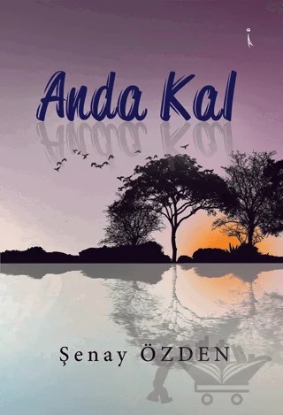 Anda Kal – Şenay Özden – İkinci Adam Yayınları kitap kapağı