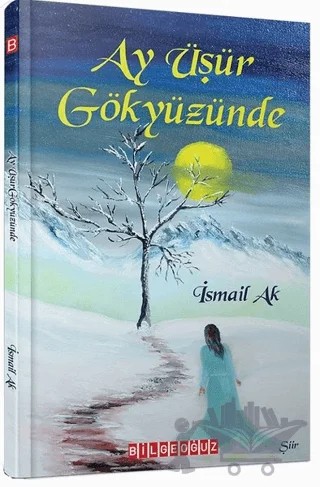 Ay Üşür Gökyüzünde – İsmail Ak – Bilgeoğuz Yayınları kitap kapağı