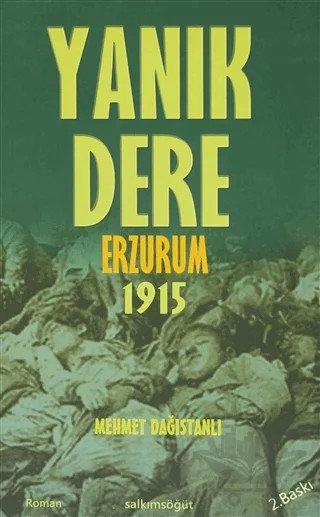 Yanık Dere Erzurum 1915 – Mehmet Dağıstanlı – Salkımsöğüt Yayınları kitap kapağı