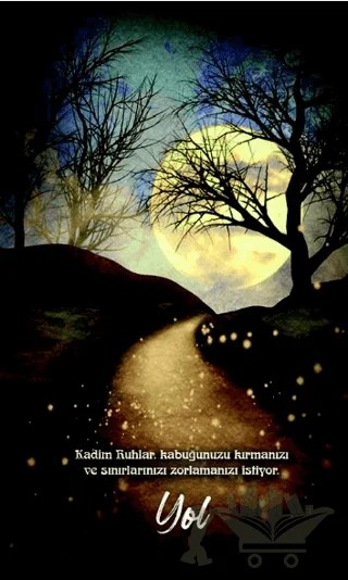 Şaman Defterleri - Yol – Evangelia Volanis – Gece Kitaplığı kitap kapağı