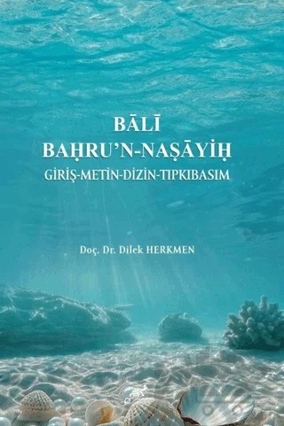 Bali Bahru'n-Naṣayiḥ – Dilek Herkmen – Paradigma Akademi Yayınları kitap kapağı