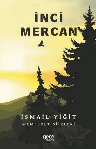 İnci Mercan – İsmail Yiğit – Gece Kitaplığı kitap kapağı