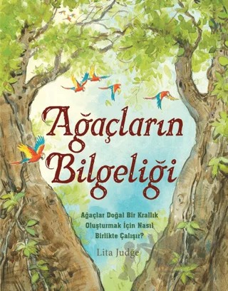 Ağaçların Bilgeliği – Lita Judge – Martı Çocuk Yayınları kitap kapağı