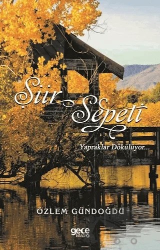 Şiir Sepeti 3 – Özlem Gündoğdu – Gece Kitaplığı kitap kapağı