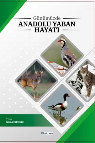 Günümüzde Anadolu Yaban Hayatı – Kemal Kırıkçı – Atlas Akademi kitap kapağı