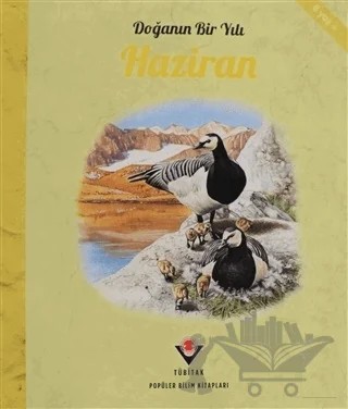 Doğanın Bir Yılı - Haziran – Ruth Symons – TÜBİTAK Yayınları kitap kapağı