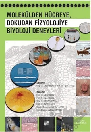 Molekülden Hücreye, Dokudan Fizyolojiye Biyoloji Deneyleri – A. Eser Elçin – Palme Yayıncılık kitap kapağı