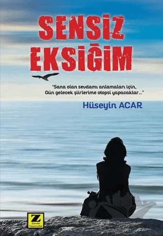 Sensiz Eksiğim – Hüseyin Acar – Zinde Yayıncılık kitap kapağı